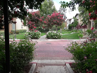 America's Irrigation & Landscaping