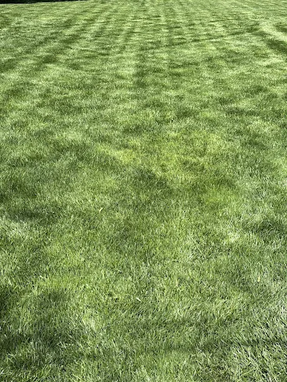 Cloudburst Lawn Systems