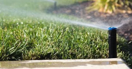 Corpus Christi Irrigation