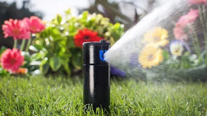 Ddm Landscape & Irrigation