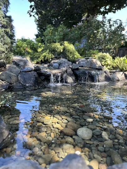 Dominguez landscaping service,LLC