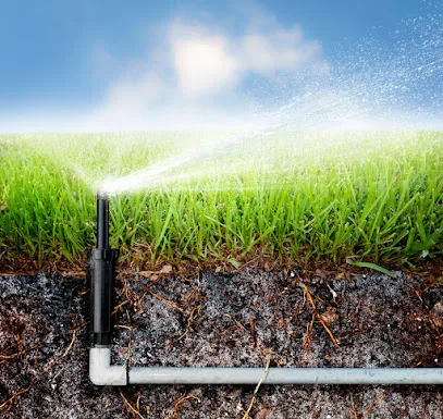 Dowd Irrigation