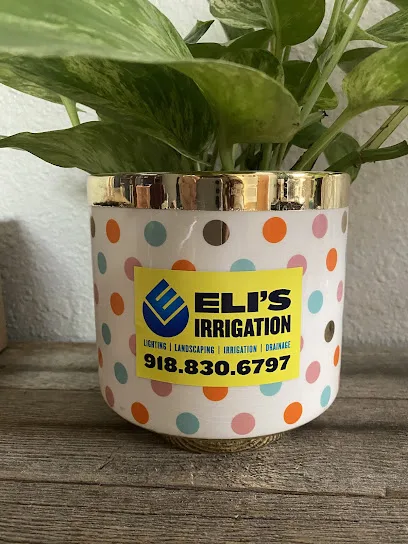 Eli's Irrigation