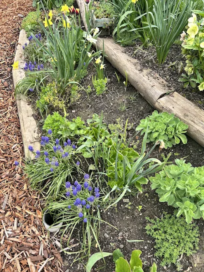Eugene Landscape & Irrigation