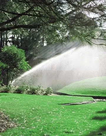Evergreen Irrigation