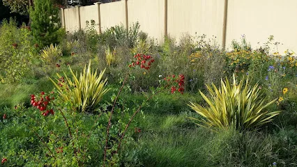 Gachina Landscape Management