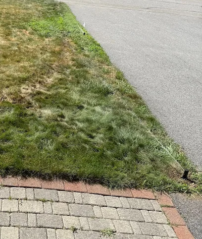 H2o irrigation System Specialists