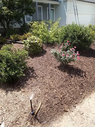 Irrigation and Lighting Management