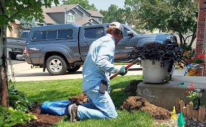 Lighthouse Sprinkler llc