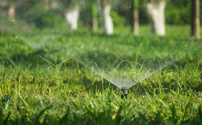 Living Water