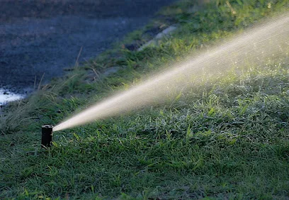 Minnesota Irrigation