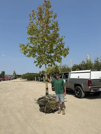 Moore Landscaping and Irrigation LLC