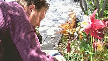 New York Plantings Irrigation and Landscape Lighting Lighting NYC