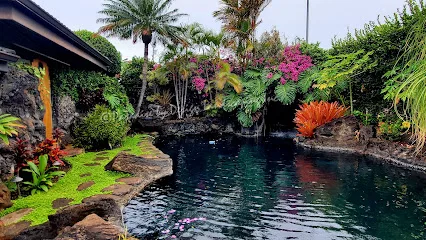Paradise by Design Landscaping Inc.