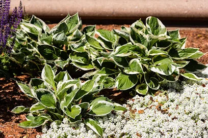River City Landscaping
