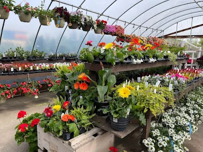 S & S Landscaping