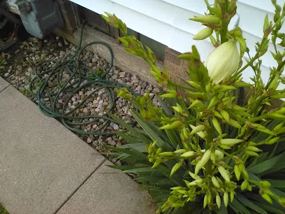Service Irrigation