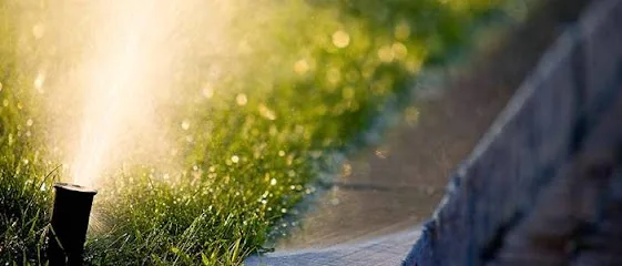 Service Specialists Lawn & Landscaping