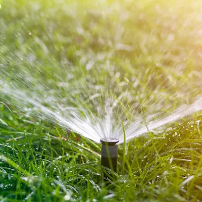 Sprinkler Blowout
