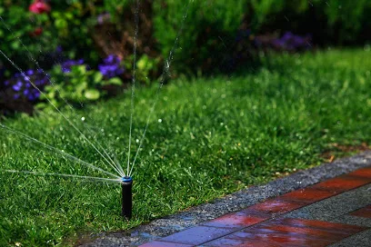 Sprinkler Repair, Drainage, Landscape Lighting Dallas