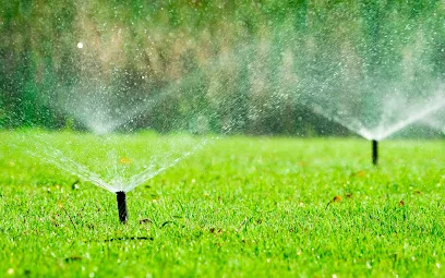 Water Wise Lawn Solutions